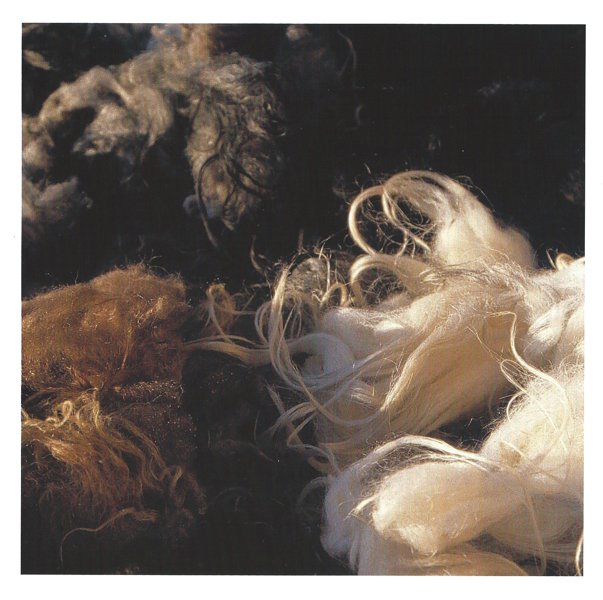 Wool in natural colors